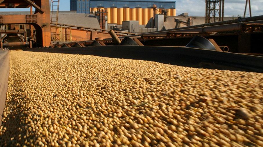 Agro exportación